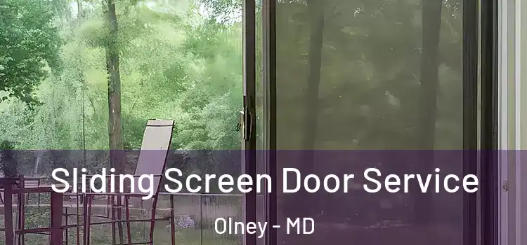 Sliding Screen Door Service Olney - MD